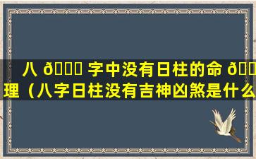 八 🐒 字中没有日柱的命 🐛 理（八字日柱没有吉神凶煞是什么意思）